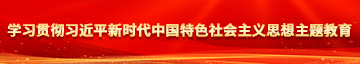 羞羞视频网址学习贯彻习近平新时代中国特色社会主义思想主题教育